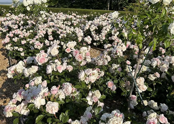 Chateau De Casa vacanze Montmirail (Sarthe)